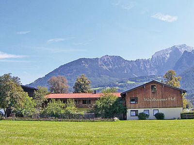 Ferienwohnungen am Waldhauser Hof