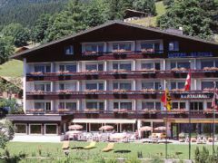 Hotel Alpina