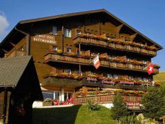 Chalet Hotel Bettmerhof