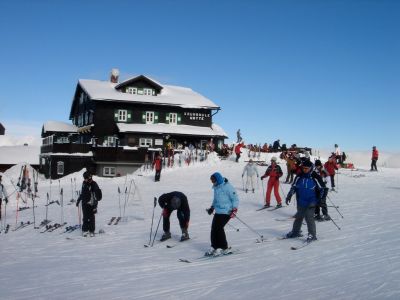 Krummholzhütte