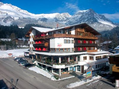 Hotel Alpin Scheffau