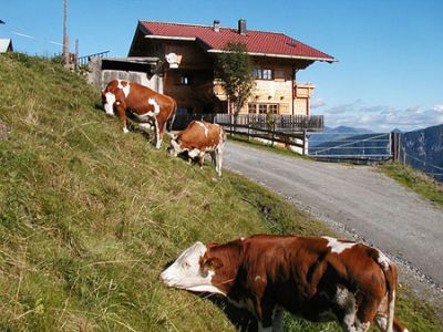 Sennhütte Hohlried