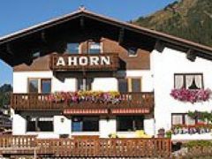 Pension Ahorn