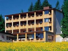 Hotel Berghof Fetz