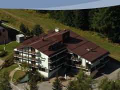 Caminetto Srl - Hotel Alaska